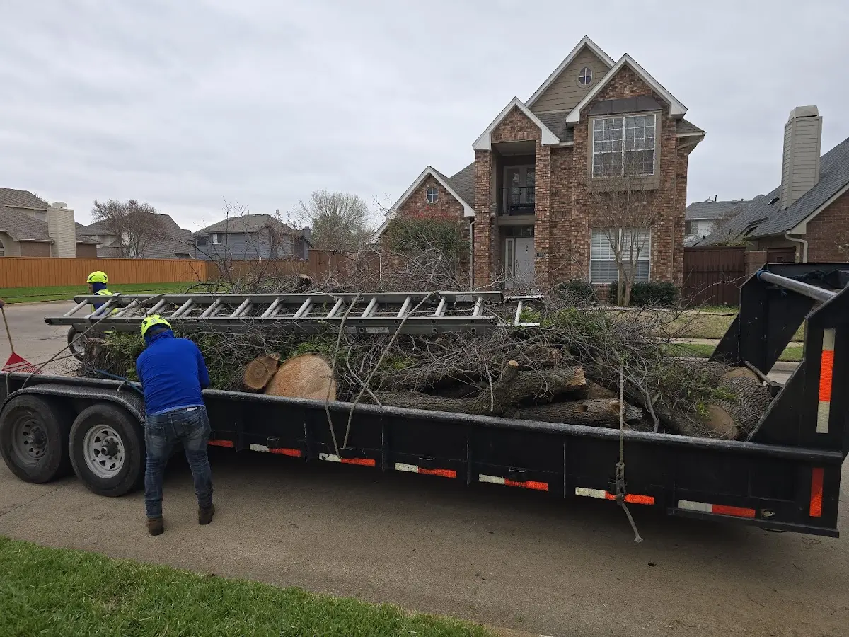 Expert Tree Fertilization with proper safety equipment in Hartsburg